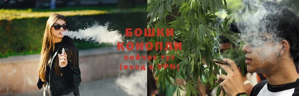 индика Майский
