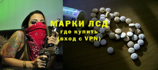индика Майский